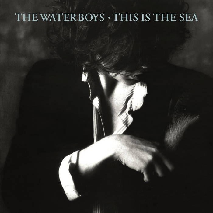 This Is the Sea by The Waterboys