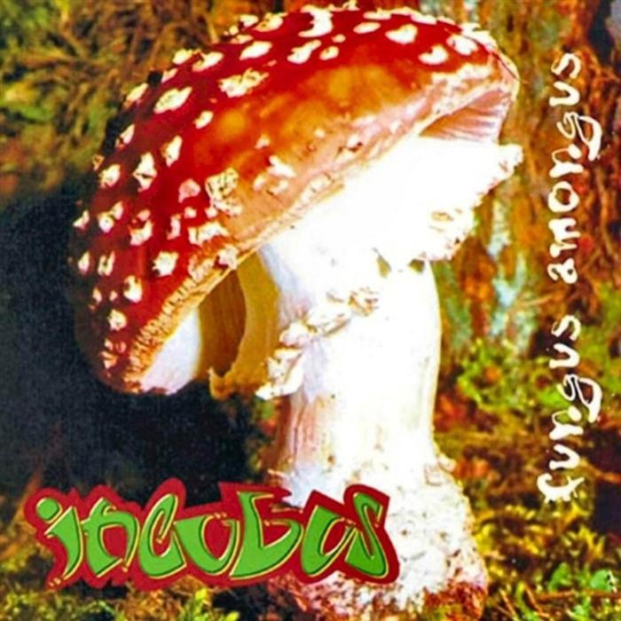Fungus Amongus by Incubus
