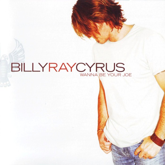 Wanna Be Your Joe by Billy Ray Cyrus