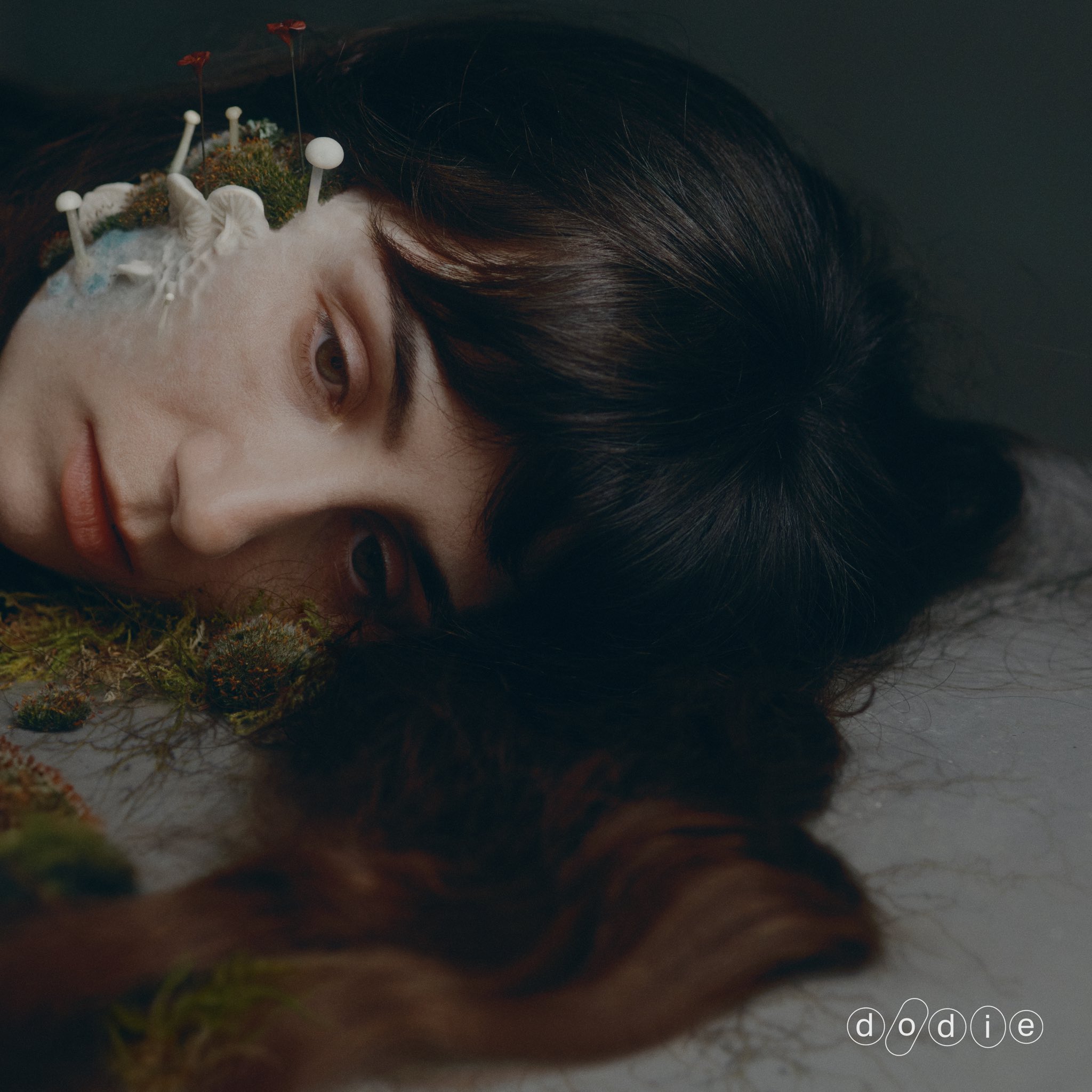Not For Lack of Trying by dodie