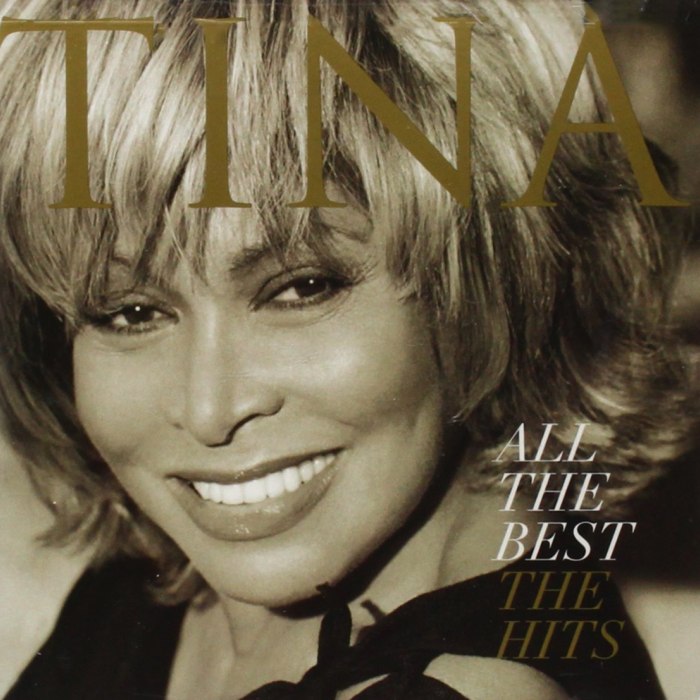 All the Best: The Hits by Tina Turner