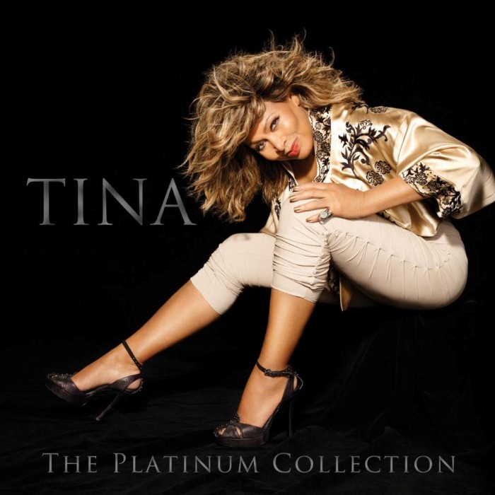 The Platinum Collection by Tina Turner