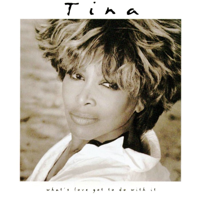 What's Love Got to Do With It by Tina Turner