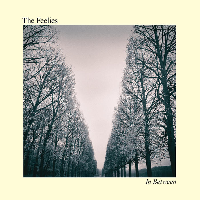 In Between by The Feelies